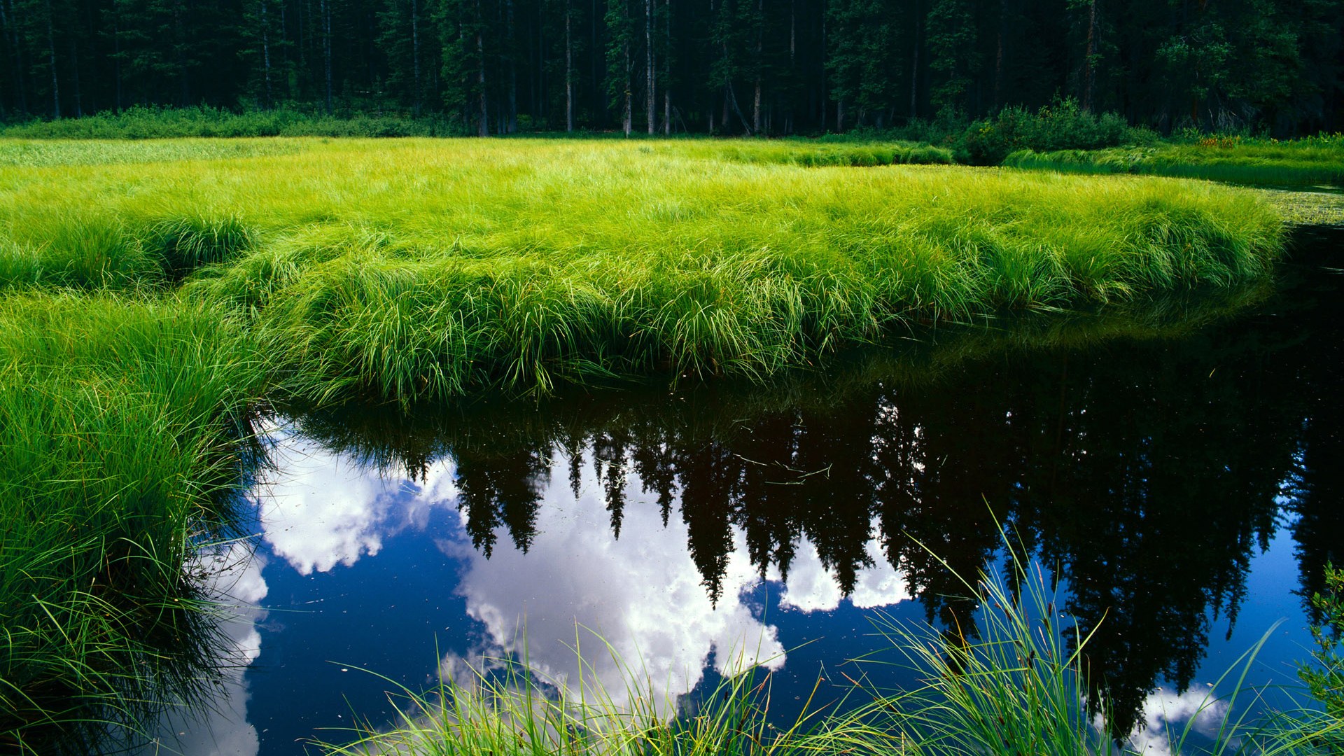 开云中国大陆-“荒野追逐:穿越山谷与沙漠的极速之战”,荒野追踪电影剧情女主背叛  第1张 开云中国大陆-“荒野追逐:穿越山谷与沙漠的极速之战”,荒野追踪电影剧情女主背叛  第1张