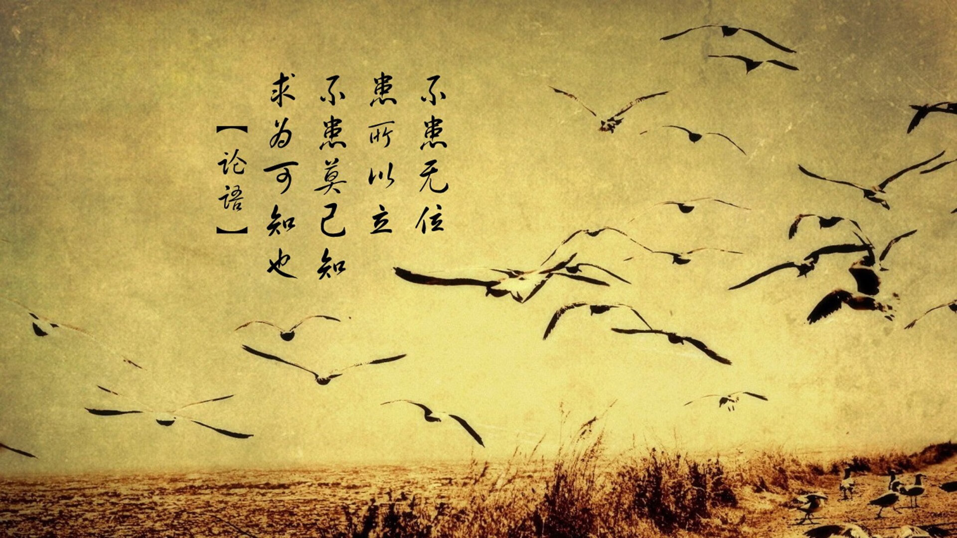 开云电子-“足球+旅游+文化”融合产业研究院在行业内建立示范作用,融合文旅集团有限公司  第1张 开云电子-“足球+旅游+文化”融合产业研究院在行业内建立示范作用,融合文旅集团有限公司  第1张