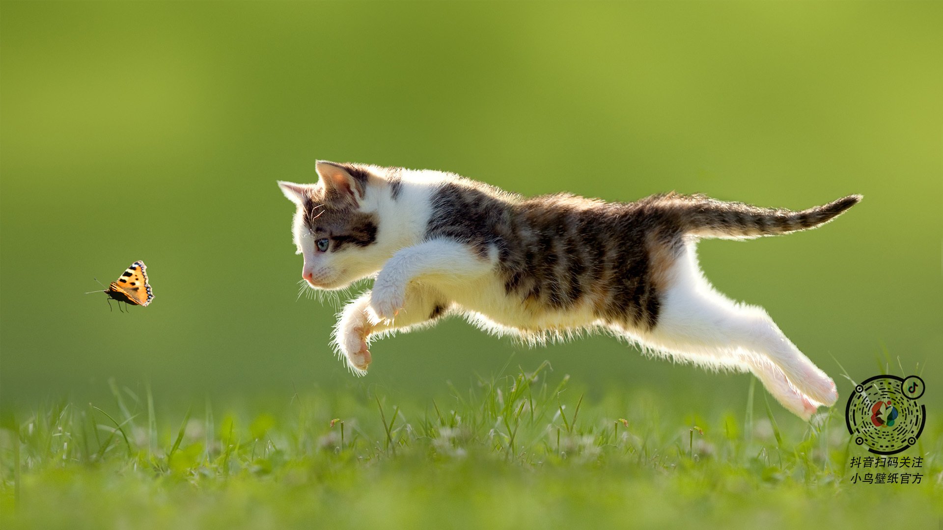 开云体育在线登入-区块链游戏探索：数字资产与全新模式，区块链通往数字资产化之路