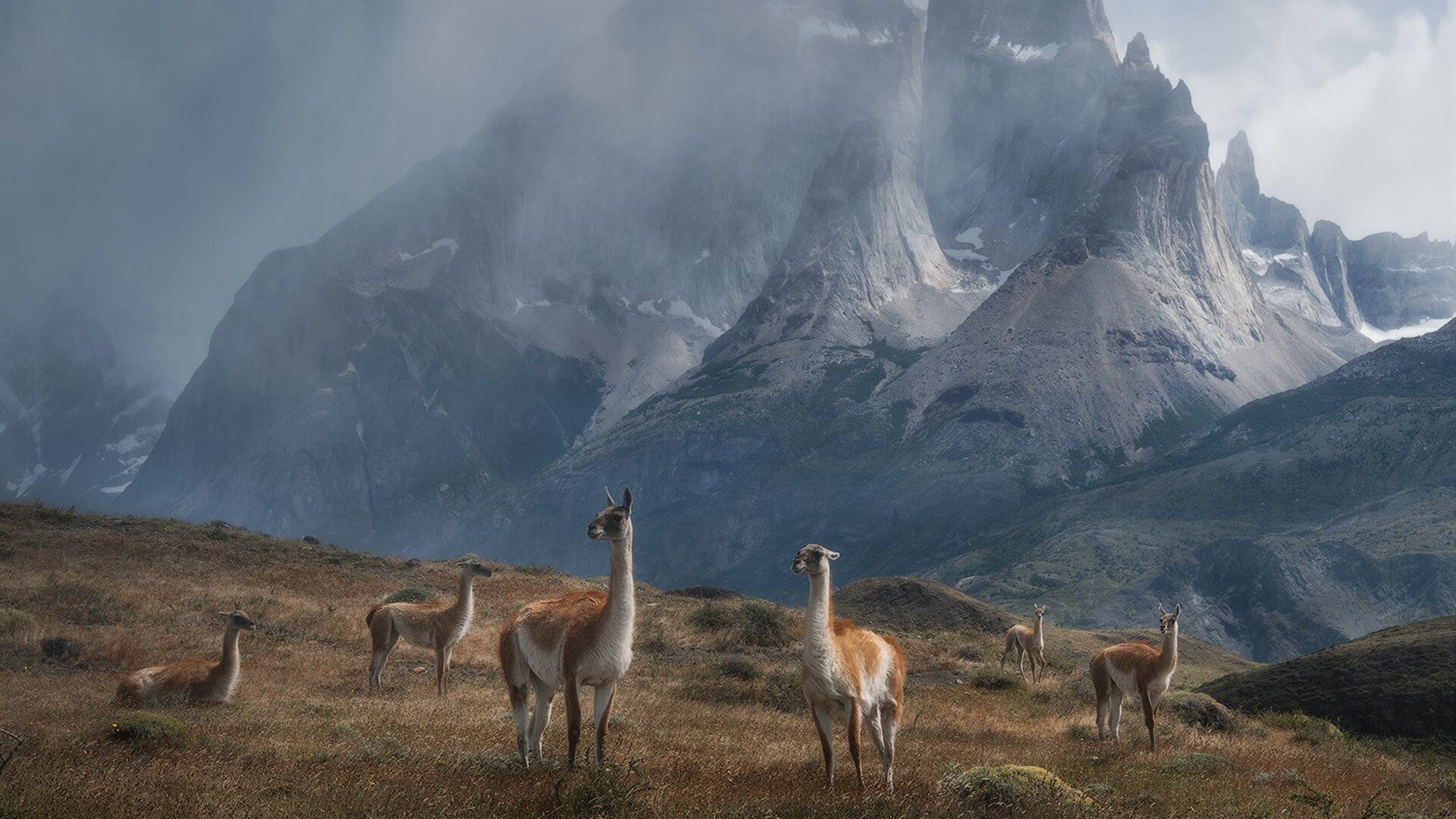 开云备用-国际交流：亚洲与欧洲选手的精彩对决，亚洲和欧洲关系好吗