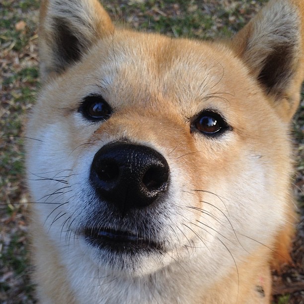 开云体育官方入口-在校园推广瑜伽，提升学生身心健康，在校园推广瑜伽,提升学生身心健康的方法