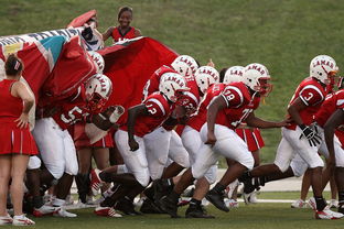 开云真人娱乐官网-体育新闻中心赛前状态追踪，体育新闻预告